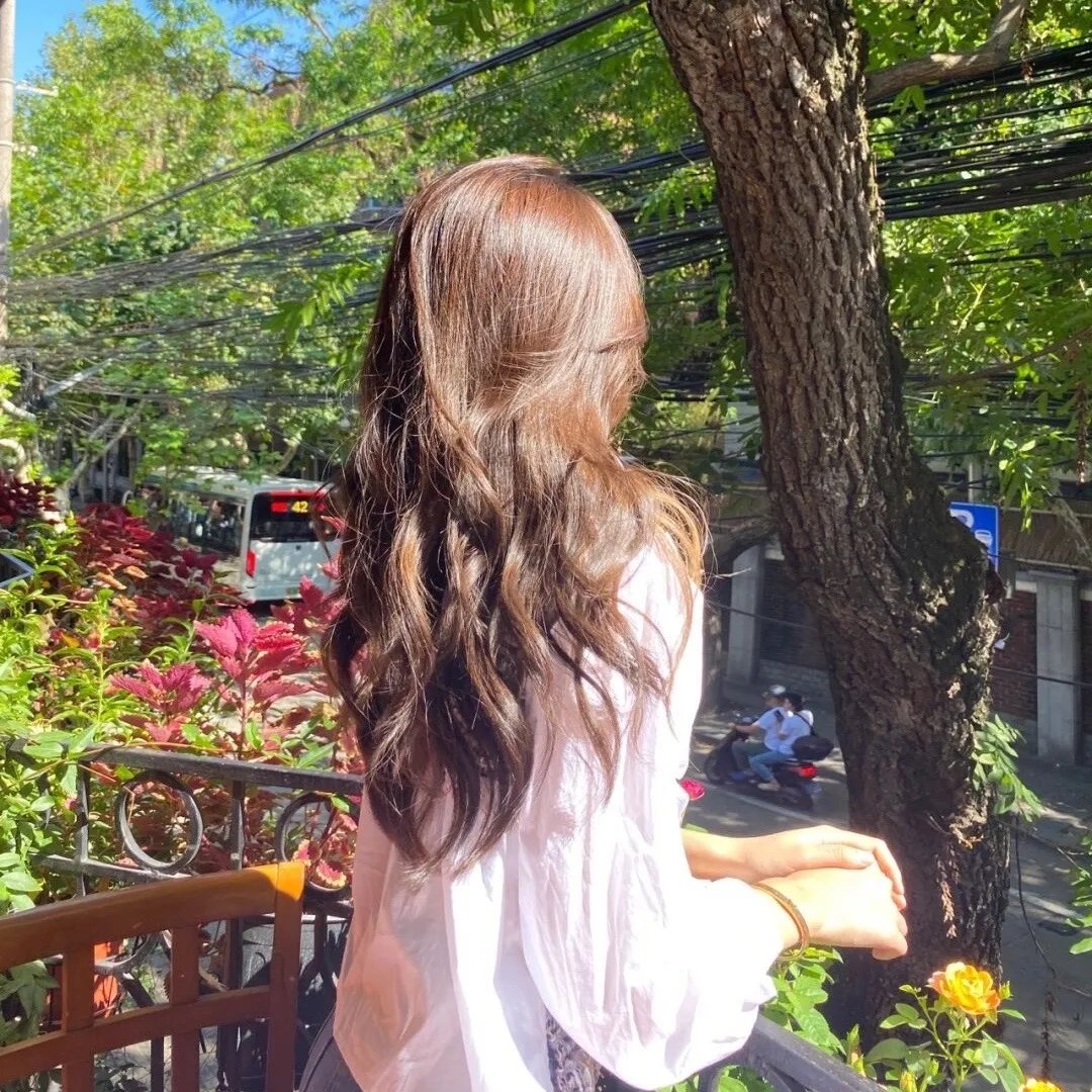 蔷薇处处香